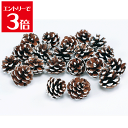\クーポン配布/ 松カサ 小スノー 大地農園 木の実 約3 から 4.5cm 1袋 約 20個 クリスマス プリザーブドフラワー 花材 リース スワッグ アロマ ワックス サシェ Atelier memi アトリエメミ