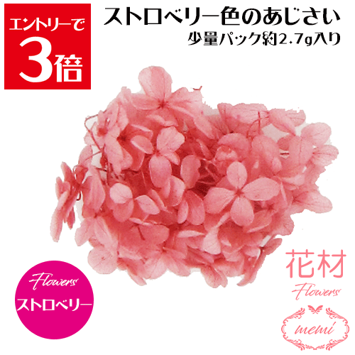 ＼クーポン配布／ ハーバリウム 花材 小分け あじさい ストロベリー 白 少量パック 約2.7～3g 【メール便送料無料】カラフル フラワー プリザーブドフラワー ドライフラワー プリザーブドフラワー ギフト 花 小分け花材 楽天ランキング1位 Atelier memi アトリエメミ