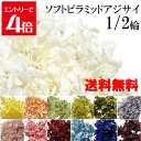 \クーポン配布/ プリザーブドフラワー ハーバリウム 花材 【送料無料】 約5〜6g 小分け あじさい ソフトピラミッドアジサイ ホワイト 白 ピンク イエロー...