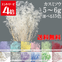 \クーポン配布/ プリザーブドフラワー カスミソウ 小分け 花材 ソフトミニカスミソウ 約5~6g 【送料無料】 4色セット アソート シロ 白 フラワーベール ピンク ワイン ブルー パープル ハーバリウム 花材 かすみ草 カスミ草 ハンドメイド 手作り 楽天ランキング1位