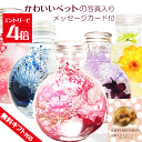 \クーポン配布/ ハーバリウム ギフト ペット ギフト 2本セット ギフトボックス入り 初盆ギフト 誕生日 プレゼント 犬 猫 お供え 写真付き プリザーブドフ...
