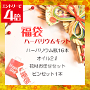\クーポン配布/ ハーバリウム キット 福袋大 ハーバリウムキット 花材 瓶 オイル ピンセット 花材セット ハーバリウム花材 アロマ キャンドル サシェ アクセサリー ウエディングボード 送料無料
