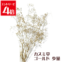 \クーポン配布/ ハーバリウム 花材 キット カスミソウ ゴールド かすみ草 少量 2.5g プリザーブドフラワー 花 ドライフラワー メール便でお届け Ate...