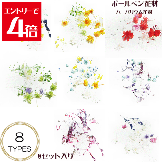 ＼クーポン配布／ ハーバリウム ボールペン 花材 [ボールペン制作用] スターフラワー 8セット入り ハーバリウムボールペンキット 楽天ランキング1位