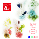 \クーポン配布/ ハーバリウム 【花材のみ】 パステルカラー お花 花材 セット キット 送料無料 ハーバリウムキット プリザーブドフラワー 手作り プリザーブ...