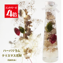\クーポン配布/ ハーバリウム キット 花材 セット 送料無料 ホワイト クリスマス 【花材のみ】 ハーバリウム花材 プリザーブドフラワー スターターキット 手作り 初心者 プリザーブド ドライフラワー 誕生日プレゼント 結婚 敬老の日 ギフト