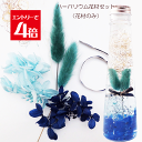 \クーポン配布/ ハーバリウム 花材 セット キット 【花材のみ】 送料無料 ブルーハート ハーバリウム花材 プリザーブドフラワー 植物標本 手作り 初心者 プリザーブド ドライフラワー 誕生日プレゼント 結婚 ギフト ホワイトデー 1,000円ポッキリ