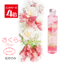 \クーポン配布/ ハーバリウム 桜 さくら 花材 セット キット 【花材のみ】 送料無料 ハーバリウムキット プリザーブドフラワー 入学 卒業 お祝い 植物標本 手作り 初心者 プリザーブド ドライフラワー 誕生日プレゼント 結婚 ギフト ホワイトデー