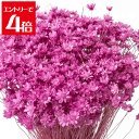 \クーポン配布/ プリザーブドフラワー 花材 スターフラワー ミニ ストロベリー 12g 30194-221 ハーバリウム ボールペン 小花 リース キャンドル 手づくり 材料 アクセサリー 大地農園 ドライフラワー 花 Atelier memi アトリエメミ