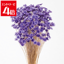 \クーポン配布/ スターフラワー ブロッサム 18g ライトパープル ハーバリウム 花材 プリザーブドフラワー ドライフラワー ボールペン花材 アロマ ワックス サシェ Atelier memi アトリエメミ