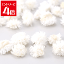\クーポン配布/ ヘリクリサム ヘッド 白 プリザーブドフラワー 花材 スモールフラワー ハーバリウム アロマ ワックス サシェ 小花 リース キャンドル 手づくり 材料 アクセサリー 大地農園 花 Atelier memi アトリエメミ