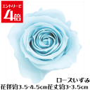 \クーポン配布/ ローズ いずみ ベビーブルー 【1輪】 プリザーブドフラワー バラ 花材 大地農園 ドライフラワー スモールフラワー ハーバリウム 花材 花 Atelier memi アトリエメミ