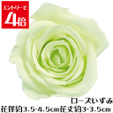 \クーポン配布/ ローズ いずみ フレッシュグリーン 【1輪】 プリザーブドフラワー バラ 花材 大地農園 ドライフラワー スモールフラワー ハーバリウム 花材 花 Atelier memi アトリエメミ
