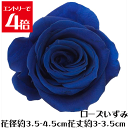 \クーポン配布/ ローズ いずみ インディゴブルー 【1輪】 プリザーブドフラワー バラ 花材 大地農園 ドライフラワー スモールフラワー ハーバリウム 花材 花 Atelier memi アトリエメミ