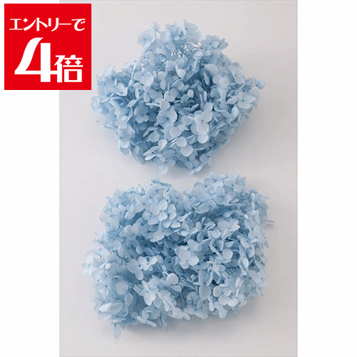 ＼クーポン配布／ ソフトアナベル ヘッド 2輪 ベビーブルー プリザーブドフラワー 花材 大地農園 プリザーブドフラワー 花材 大地農園 ドライフラワー ハーバリウム アロマ ワックス サシェ