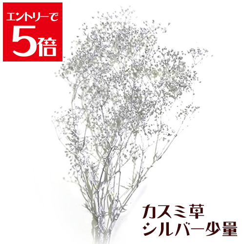 ＼クーポン配布／ ハーバリウムキット 花材 かすみ草 シルバー 少量 2.5g プリザーブドフラワー 花材セ..