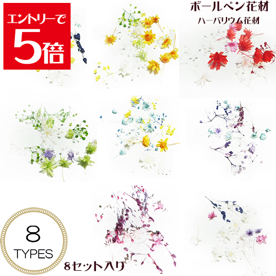 ＼クーポン配布／ ハーバリウム ボールペン 花材 [ボールペン制作用] スターフラワー 8セット入り ハーバリウムボールペンキット 楽天ランキング1位
