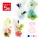 \クーポン配布/ ハーバリウム 【花材のみ】 パステルカラー お花 花材 セット キット 送料無料 ハーバリウムキット プリザーブドフラワー 手作り プリザーブド ドライフラワー ギフト アトリエメミ