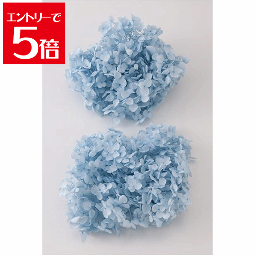 ＼クーポン配布／ ソフトアナベル ヘッド 2輪 ベビーブルー プリザーブドフラワー 花材 大地農園 プリザーブドフラワー 花材 大地農園 ドライフラワー ハーバリウム アロマ ワックス サシェ