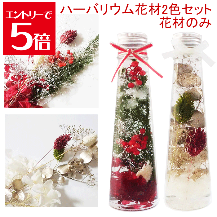 ＼クーポン配布／ ハーバリウム 花材 2色 まとめ セット キット 送料無料 ハーバリウムキット 【花材のみ】 ハーバリウム花材 花材キット プリザーブドフラワー 植物標本 手作り 初心者 プリザーブド ドライフラワー 誕生日プレゼント 結婚 ギフト