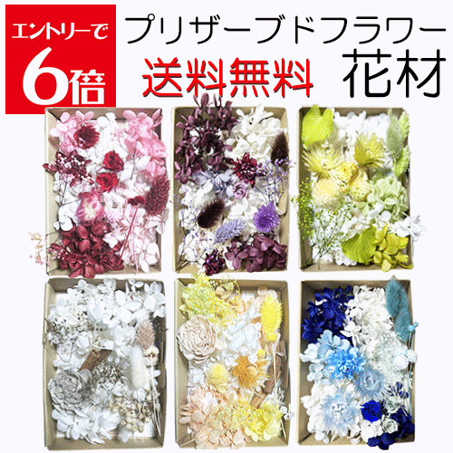 楽天市場】プリザーブドフラワー 花材の通販