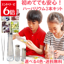 \クーポン配布/ ハーバリウム キット 3本 送料無料 花材 セット ブルー ピンク レッド グリーン パープル ピンセット オイル ハーバリウム専用液 初心者...