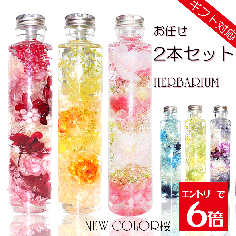 ＼クーポン配布／ ハーバリウム ギフト プレゼント 【お任せ2本入り】 福袋 誕生日 桜 プリザーブ...