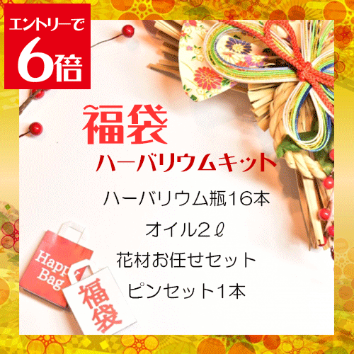 ＼クーポン配布／ ハーバリウム キット 福袋大 ハーバリウムキット 花材 瓶 オイル ピンセット 花材セット ハーバリウム花材 アロマ キャンドル サシェ アクセサリー ウエディングボード 送料無料