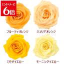 \クーポン配布/ バラ 【1輪】 選べる4色 イエロー オレンジ プリザーブドフラワー 花材 キット ハーバリウム セット アソート Atelier memi ...