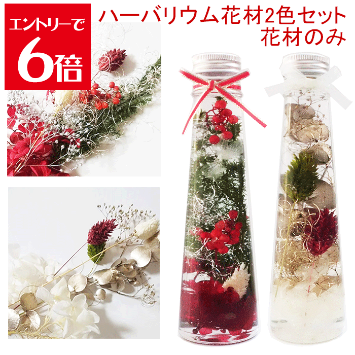 ＼クーポン配布／ ハーバリウム 花材 2色 まとめ セット キット 送料無料 ハーバリウムキット 【花材のみ】 ハーバリウム花材 花材キット プリザーブドフラワー 植物標本 手作り 初心者 プリザーブド ドライフラワー 誕生日プレゼント 結婚 ギフト