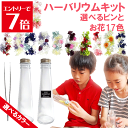 \クーポン配布/ ハーバリウム キット さくら 桜のハーバリウム 入学 花材 入園 御祝い 送料無料 1本分 選べる15色 花材 セット ボトル ピンセット オ...