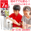 \クーポン配布/ ハーバリウム キット 3本 送料無料 花材 セット ブルー ピンク レッド グリーン パープル ピンセット オイル ハーバリウム専用液 初心者...