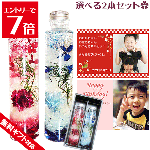 ＼クーポン配布／ ハーバリウム ギフト 入学 ギフト 選べる2本セット ギフトボックス入り 誕生日  ...
