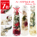 \クーポン配布/ ハーバリウム キット クリスマス キット 送料無料 1本分 選べる3色 花材 セット ボトル ピンセット オイル 花材 瓶 プリザーブドフラワ...