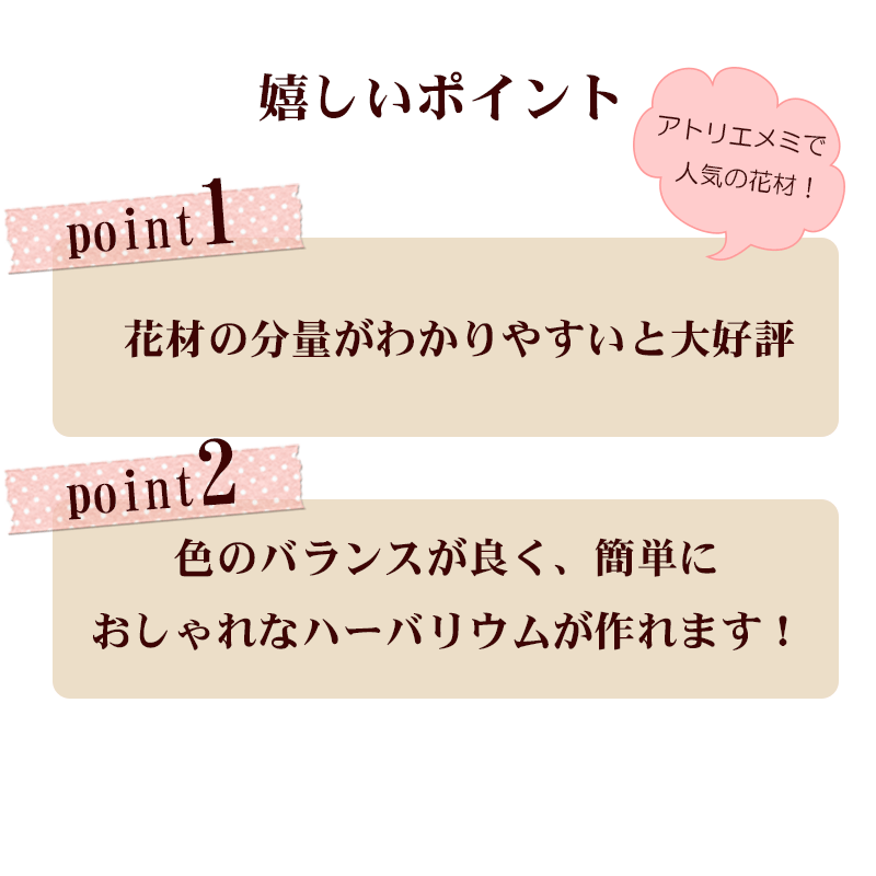 ＼クーポン配布／ ハーバリウム 花材 セット キット 送料無料 クリスマス ハーバリウムキット 【花材のみ】 ハーバリウム花材 花材キット プリザーブドフラワー 植物標本 手作り 初心者 プリザーブド ドライフラワー 誕生日プレゼント 母の日 結婚 ギフト 母の日