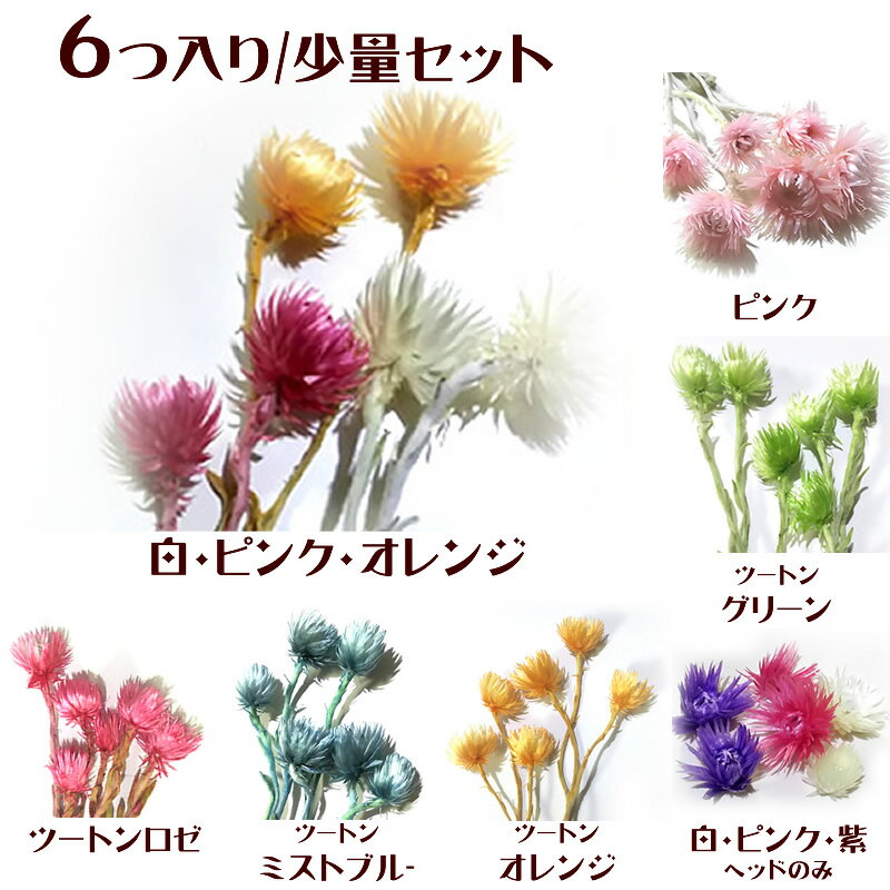 �������ݥ����ۡ� �ϡ��Хꥦ�� �ֺ� ���å� ����С��ǡ����� 6������ ���٤�7�� �ץꥶ���֥ɥե� �ֺ� �������� �ɥ饤�ե� ���⡼��ե� ��ŷ��󥭥�1�� Atelier memi ���ȥꥨ���