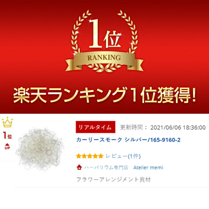 �������ݥ����ۡ� �����꡼���⡼�� ����С� 165-9160-2 �ϡ��Хꥦ�� ���� ��ŷ��󥭥�1�� �ץꥶ���֥ɥե� �ֺ� ���⡼��ե� �ϡ��Хꥦ�� ������ ��å��� ������ ���� �꡼�� �����ɥ� ��Ť��� ���� ���������꡼ ��