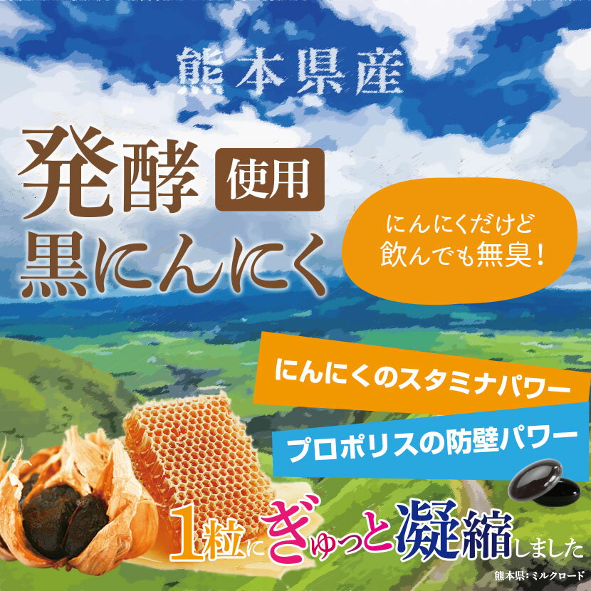 【∴メール便送料無料！！】【3個セット!!】DHCの健康食品　カルニチン　300粒（60日分）【3個セット!!】