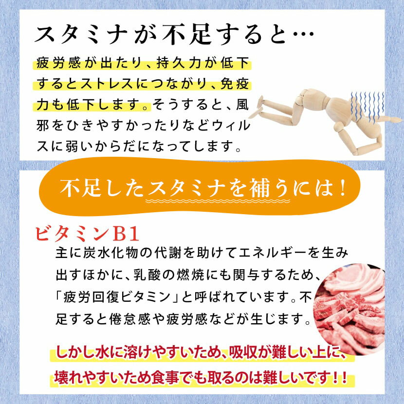 【新パッケージ】 アムウェイ　ニュートリ　ファイバーパウダー　賞味期限：半年以上