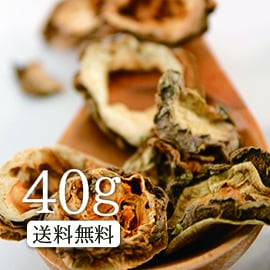 【送料無料】卸値価格！ゴーヤ茶40g 南国の長寿を支える伝統食！【ダイエット茶】【健康茶/お茶】ゴーヤ茶（実種混合）