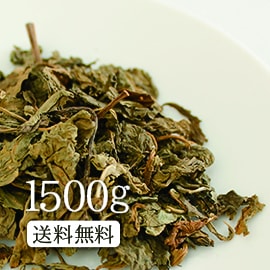 国産クコ葉茶1500g　美容健康サポートでロングセラー！クコ葉茶 OM