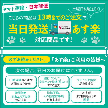 ★Sボトルホルダー★《ネコポス2個までOK！》【犬猫用】(ぺたんこボウルSボトルホルダー付　ピンク/ブルー )散歩 水 ペット旅行 お出かけ時 持ち運びに便利 【ひなたぼっこ】ライトハウス お皿 食器