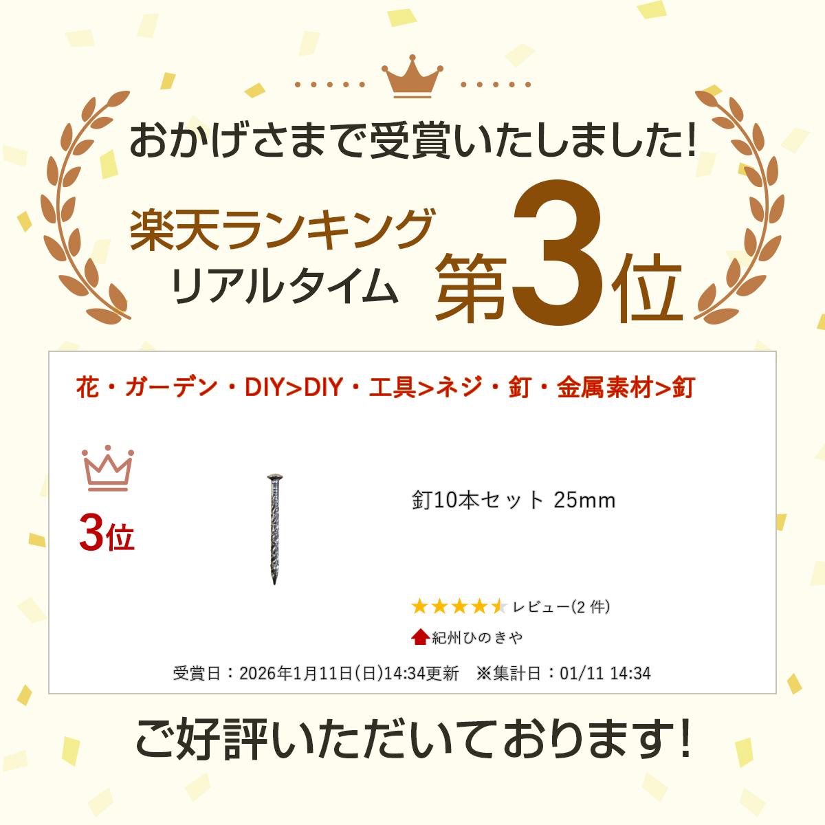 釘10本セット 25mm 2