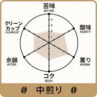 【ブレンドコーヒー】HIROCOFFEE◆キリマンジャロ・ブレンド・スペシャルティ【山の恵】(100g)