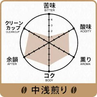 【レインフォレスト認証コーヒー】HIROCOFFEE◆ニカラグアレッドハニー100g