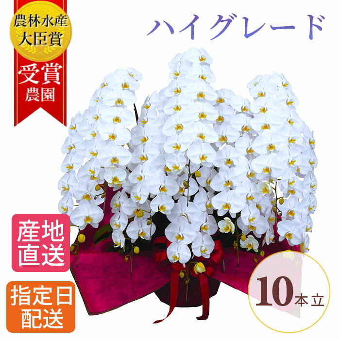 プレミアム 胡蝶蘭 大輪 10本立 120輪以上 白 祝い 就任祝い 退職 お祝い コチョウラン こちょうらん 胡蝶蘭 開店祝い 退職祝い 誕生日 生花 seika ラン 花 誕生日 プレゼント 女性 ギフト 御祝 引越祝い 新築祝い 周年 祝い