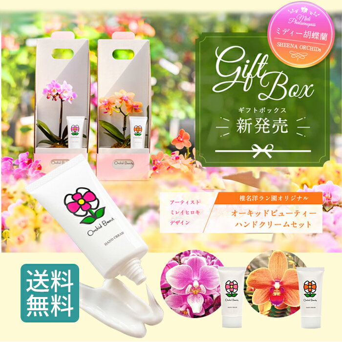 マイクロ胡蝶蘭とビューティーハンドクリーム ( Orchid Beauty ) のセット / 胡蝶蘭 ハンドクリーム 花 母の日 鉢植え プレゼント ギフト ミニ胡蝶蘭 ミディ胡蝶蘭 ミニ 小 お祝い お返し お礼 手荒れ 美肌 保湿 贈答 誕生日プレゼント ギフト 女性 母 義母 祖母 誕生日