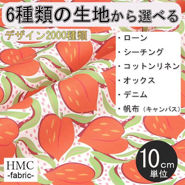 【10cm単位:送料無料】 生地 布 オーダープリント布 ( シーチング or オックス ) / fab-cm00715