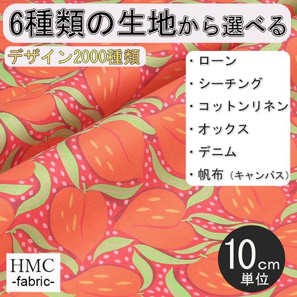 【10cm単位:送料無料】 生地 布 オーダープリント布 ( シーチング or オックス ) / fab-cm00716