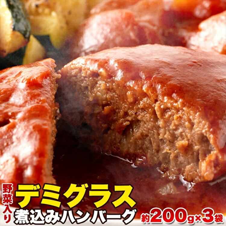 じっくり煮込んだデミグラス煮込みハンバーグ約200g×3袋/送料無料/メール便